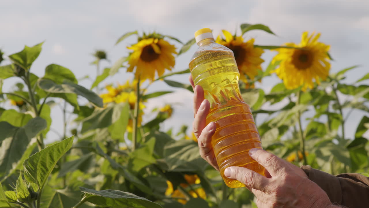 태양꽃 기름 병