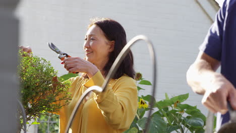 Un-Hombre-Asiático-Maduro-Riega-Las-Plantas-En-El-Jardín-De-Verano-Usando-Una-Regadera-Mientras-Su-Esposa-Poda-Arbustos-Con-Tijeras-De-Podar,-Filmada-En-Cámara-Lenta