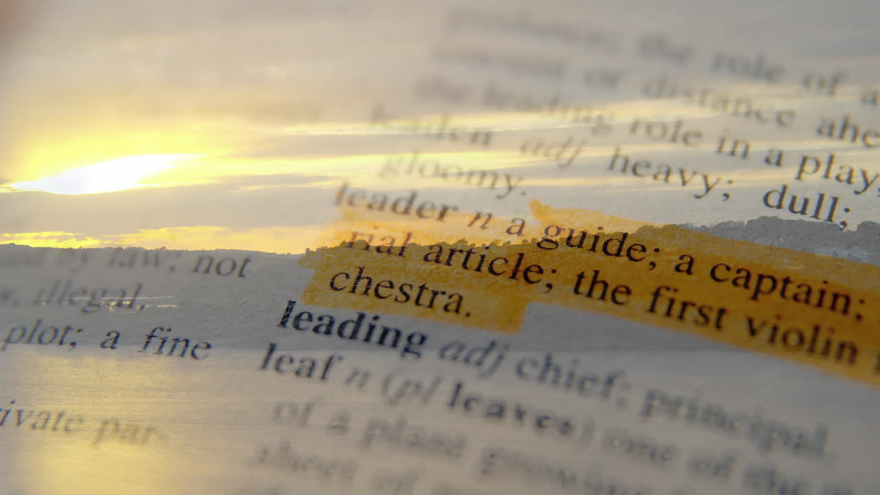 resaltando la definición del diccionario de líder sobre la animación del paisaje del atardecer