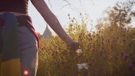 close up of woman on camping vacation running hand through grass and flowers in field