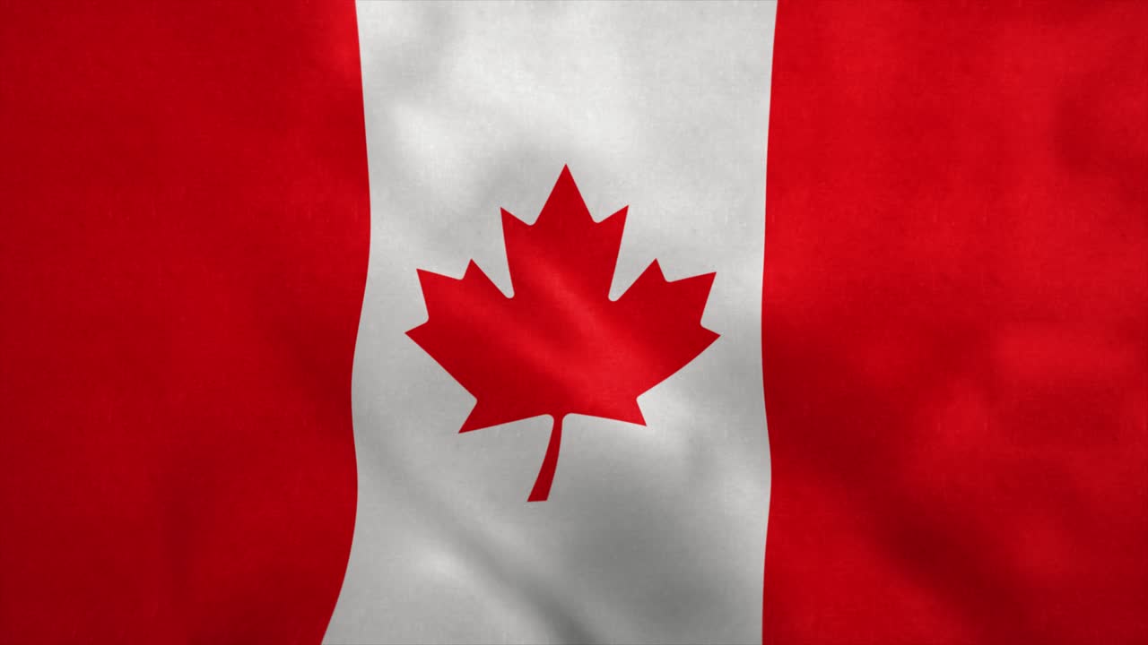 bandera nacional de canadá soplando en el viento. bucle sin costuras