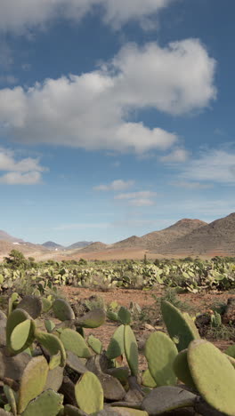 atlas-mountains,-morocco-in-vertical