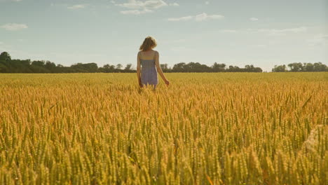 Frauenhand-Berührt-Weizenfeld.-Frau-Geht-Auf-Einem-Landwirtschaftlichen-Feld-Davon