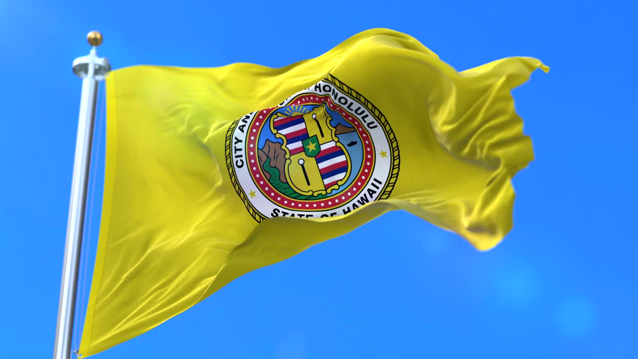 미국 호놀루 시의 발 - 루프