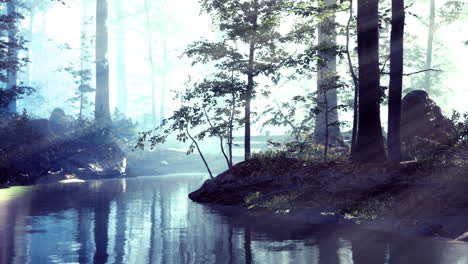 tranquil forest landscape with soft sunlight reflecting on calm water
