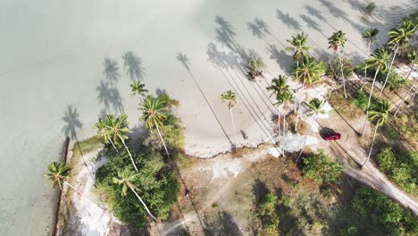 imágenes aéreas de una playa de arena blanca con palmeras en ko samui, tailandia