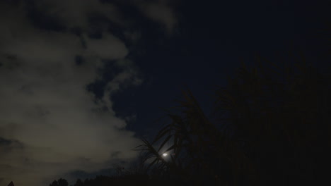 a plane flying at night