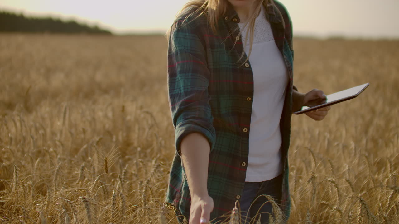 женщина-фермер с планшетом. умное земледелие и цифровое сельское хозяйство.