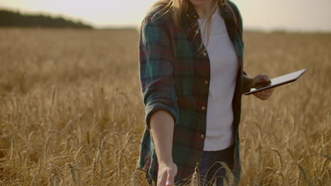 a woman farmer with tablet. smart farming and digital agriculture.