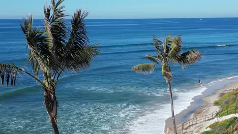 Drone-shot-of-two-Pam-Trees-swaying-in-the-breeze-revealing-surfers-surfing-on-a-beautiful-winter-day-in-Southern-California