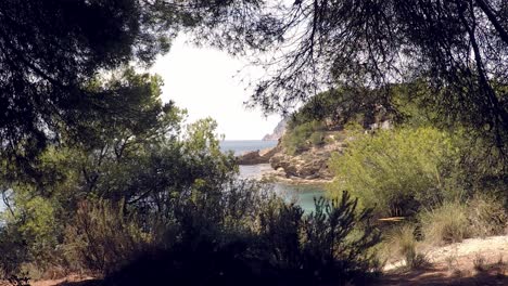 view of the mediterranean sea from the mountain with pine trees and bushes in javea, alicante, spain