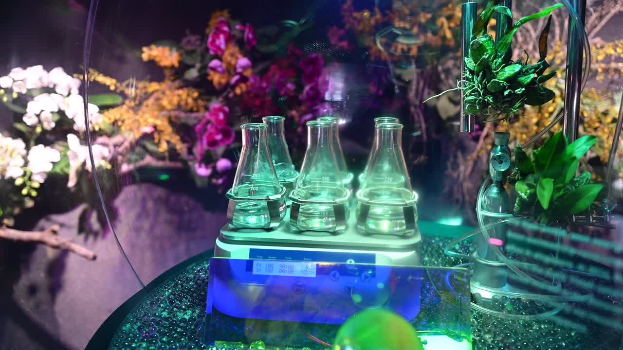 4k: frascos de laboratorio con sustancias líquidas transparentes, laboratorio de plantas y flores, concepto de experimentos agrícolas dentro del vivero de plantas