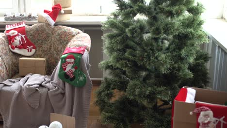 christmas preparation process, branches of christmas tree. christmas preparations.