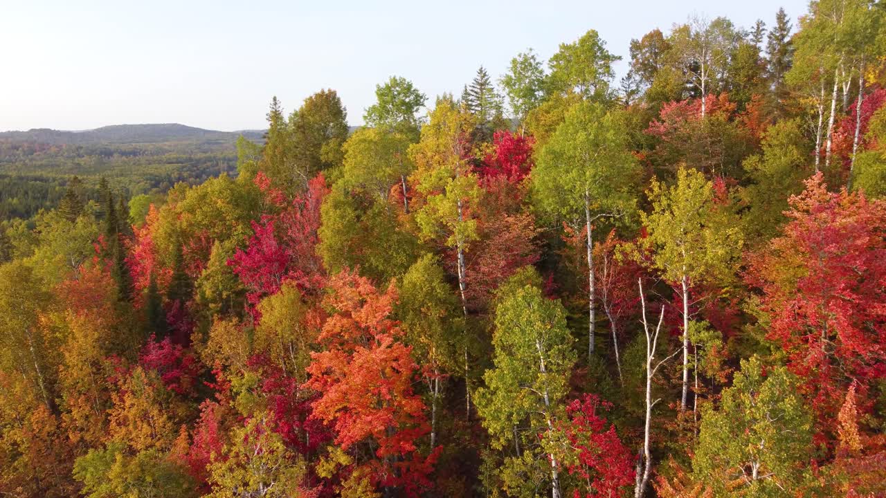 Aerial view of Majestic colored Landscape from La V&eacute;rendrye Wildlife Reserve in Quebec, Canada