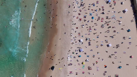 downward angle aerial shot of bondi beach, highlighting sunbathers, swimmers, and surfers along the famous australian coast. rising aerial footage.