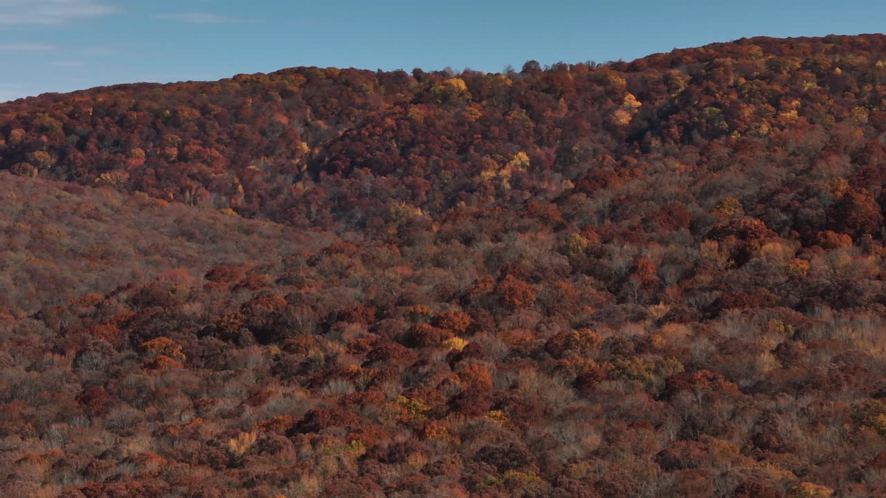 Colorful Autumn Forest In Lake Fort Smith State Park, Arkansas, United States - Aerial Drone Shot
