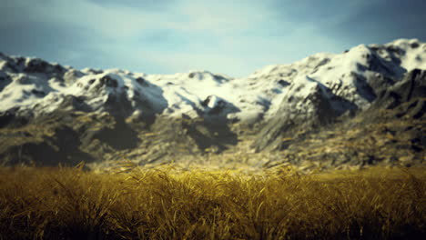 majestic snow capped mountains rise above golden grassland in serene landscape