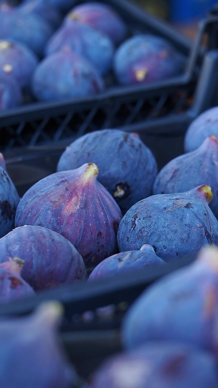 Fresh Ripe Figs in Plastic Crates at Market