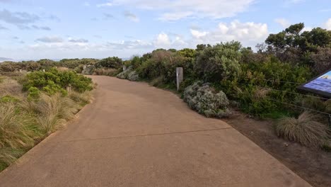 a winding path through lush coastal vegetation