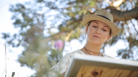 an artist skillfully paints in natures beauty capturing creativity and tranquility in their - an artist skillfully paints in natures beauty, capturing creativity and tranquility in their impressive work