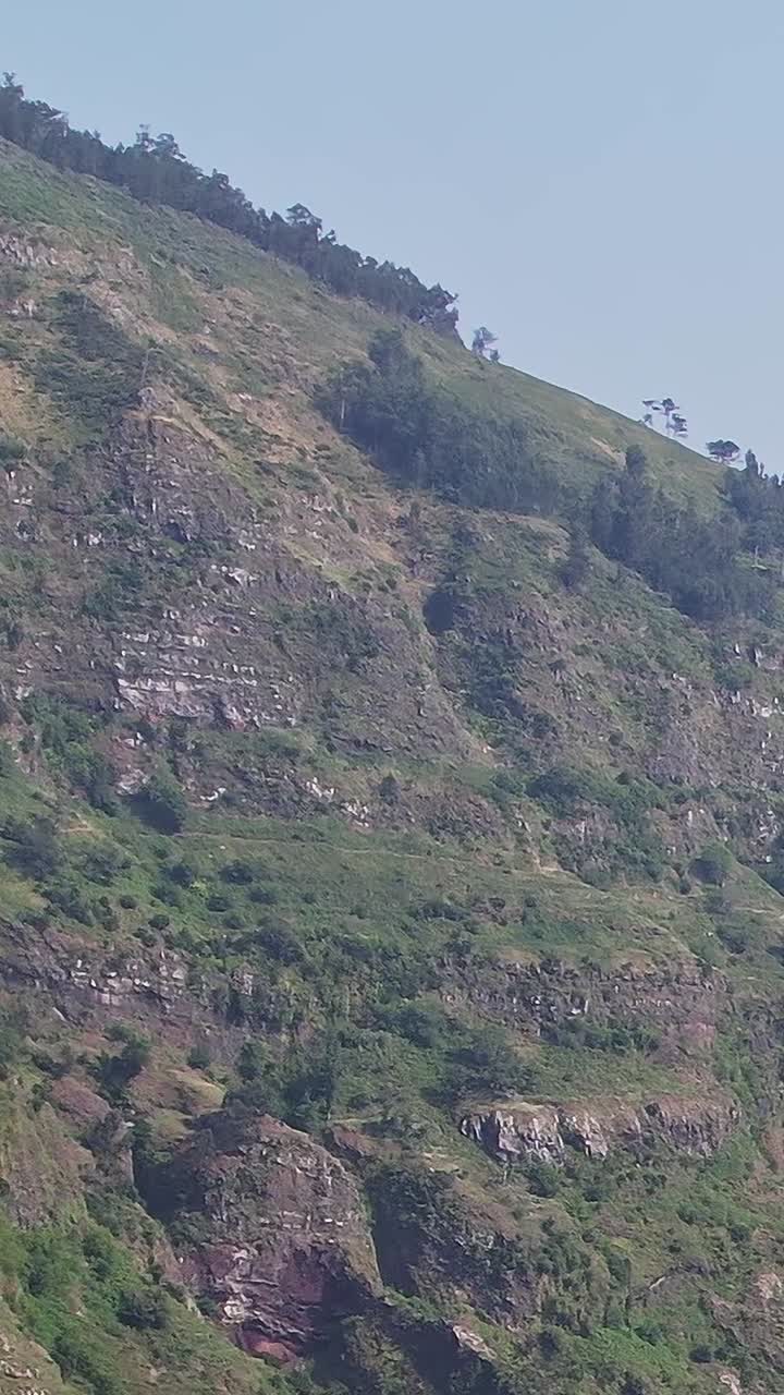 Vista aerea mozzafiato delle montagne lussureggianti di Madeira con terreno roccioso