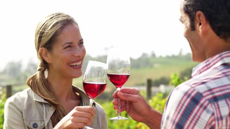 happy couple toasting a glass of red wine in field