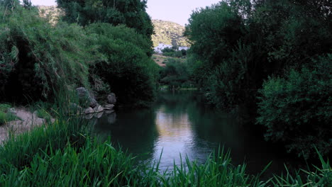 river guadiaro after sundown, andalusia, spain