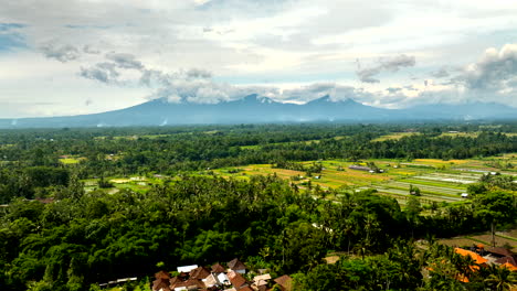 blend of rice terraces, palm trees and patchworks of cultivated land