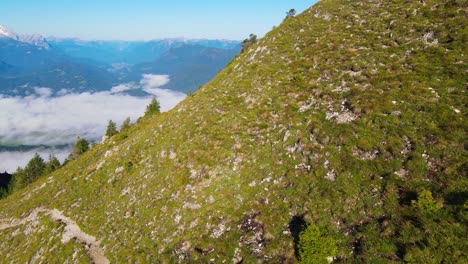 vuelo cinematográfico en los alpes con gamuza