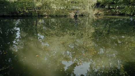 Flusswasser,-Das-Sanft-Im-Sonnenlicht-Plätschert