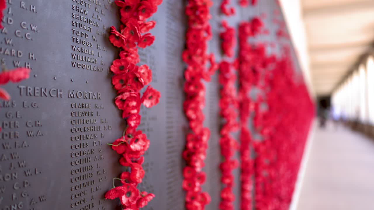 Close-up shot of red poppies tucked into names on a bronze war memorial wall