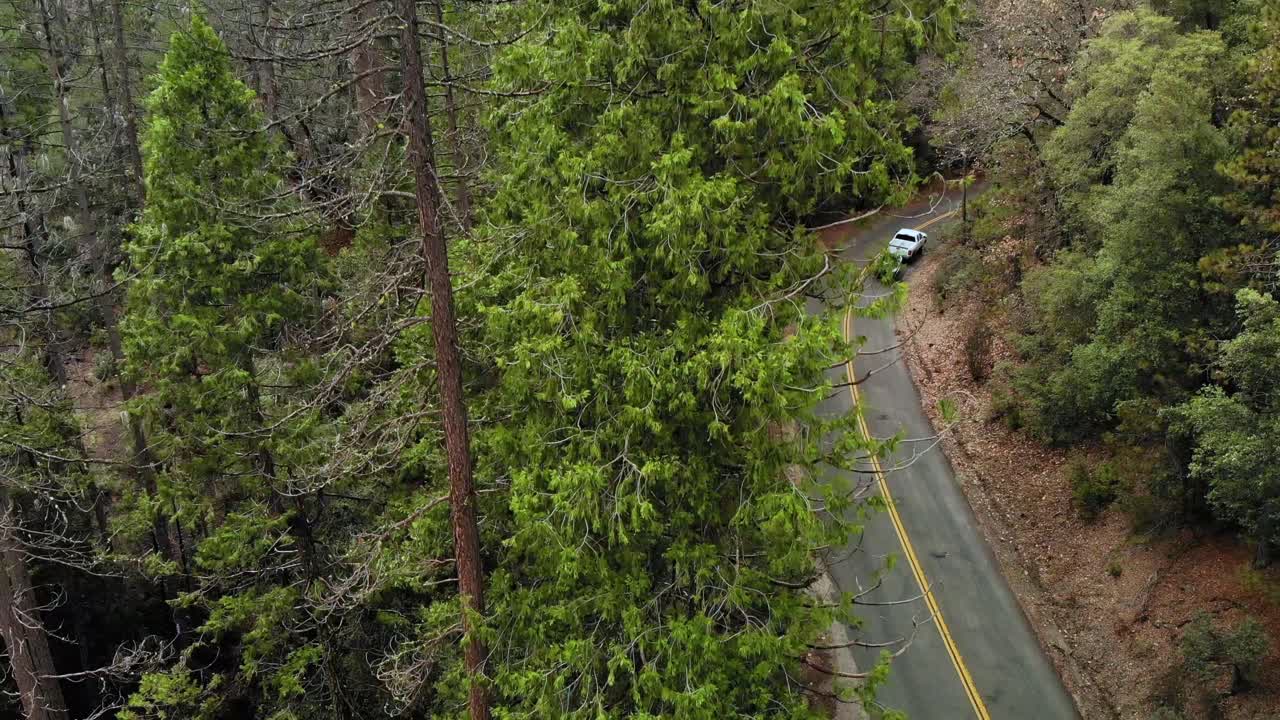 비가 내린 후 숲을 가로질러 포장된 도로에서 보트를 당기는 트럭을 보여주는 항공 샷