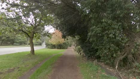paseo en bicicleta por un sendero en golden gate park, san francisco, california