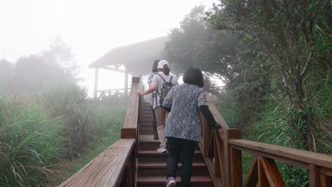 three woman stroll at fog forest trail