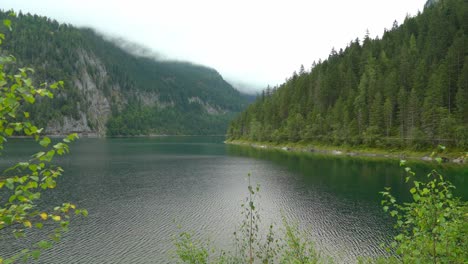 wilderness near lake gosausee with mountains in the background covered with fog