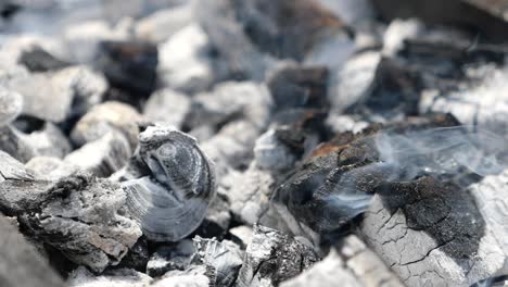 charcoal burning