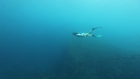 Buzo-Femenino-Buceando-En-Agua-Azul-Clara-De-Las-Azores-Pasando-Por-Una-Escuela-De-Peces