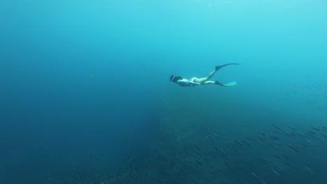buceadora buceadora en apnea en aguas cristalinas de las azores pasando por escuela de peces