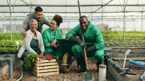 farmer, teamwork and group for greenhouse