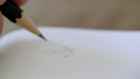 escribiendo con un lápiz en un cuaderno blanco