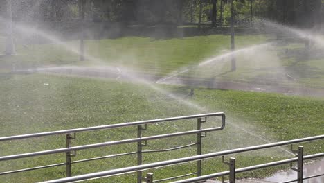 sprinklers watering a green lawn in a park