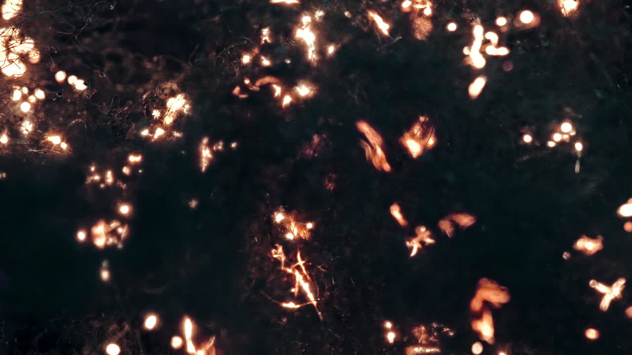 Fiery sparks glowing against a dark background, captured in a close-up macro shot