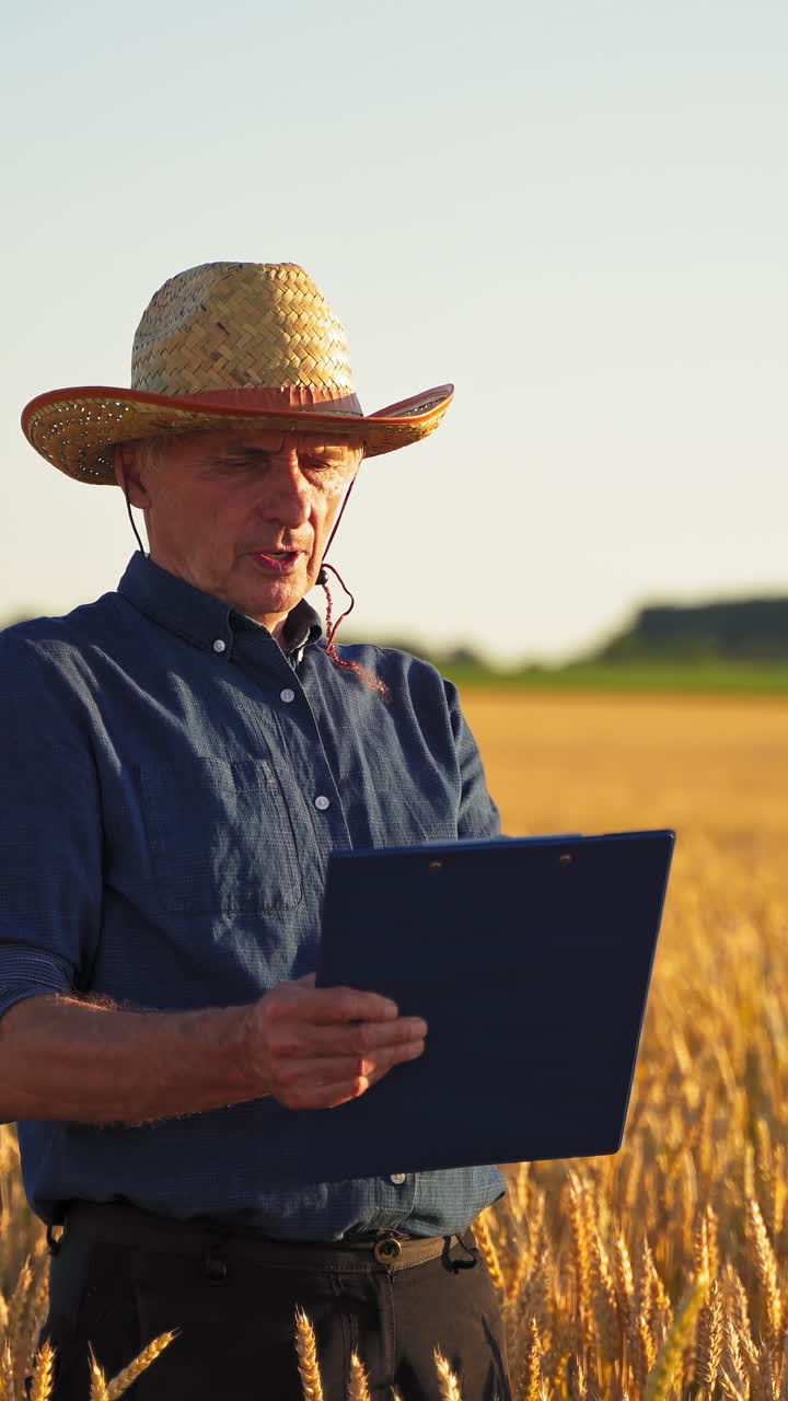 Agronomist inspecting wheat field. Farmer in field examining wheat crop