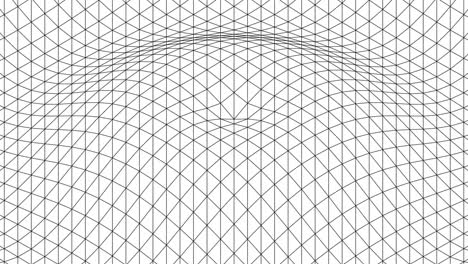 mesh with looping concentric waves