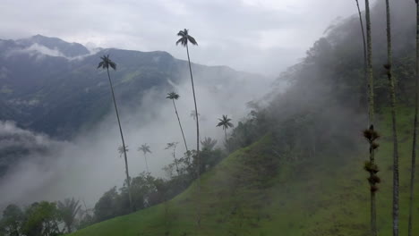 cocora valley dolly drone shot through mist