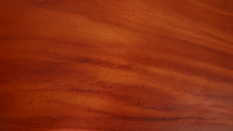 young businessman hands showing dollar bills and cents on wood table
