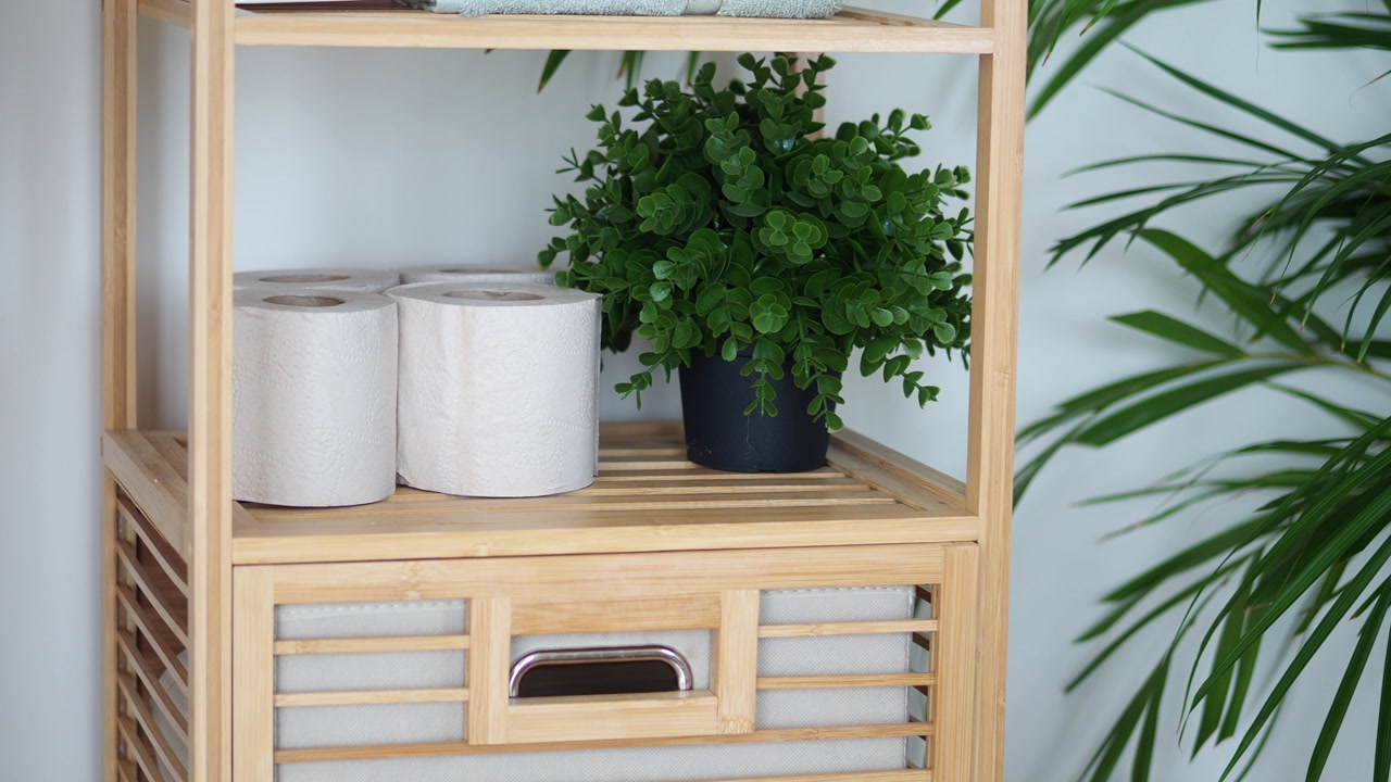 Wooden Bathroom Shelf with Toilet Paper and Green Plant