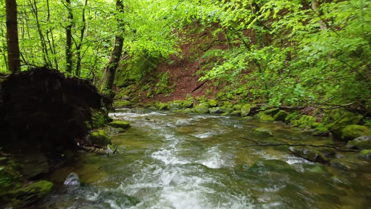 Krystalklar bæk snor sig langs malerisk sti midt i det fantastiske naturlandskab Bistriski Vintgar, Slovenien