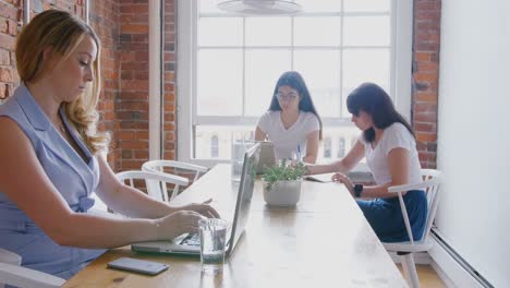 Businesswomen-working-on-laptop-4k