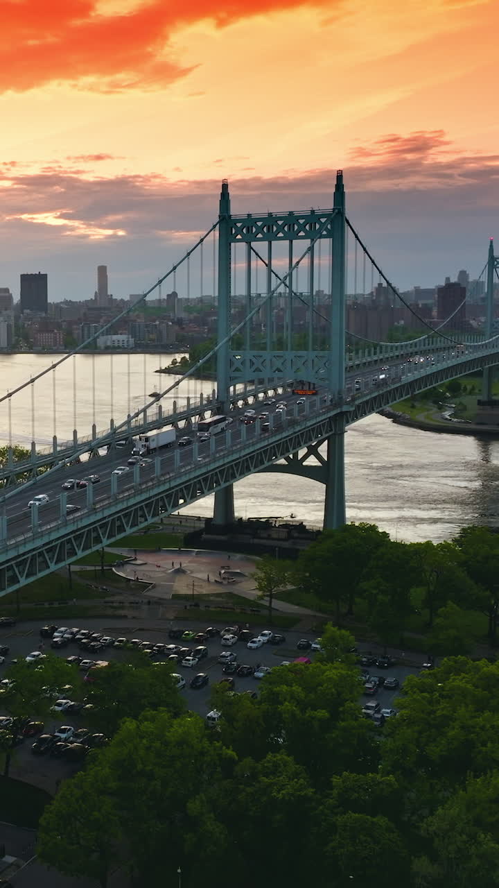 Marvelous bridge connecting green banks of the river. Busy traffic along the bridge. Megapolis skyline at backdrop. Vertical video